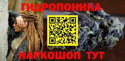 спиды Партизанск