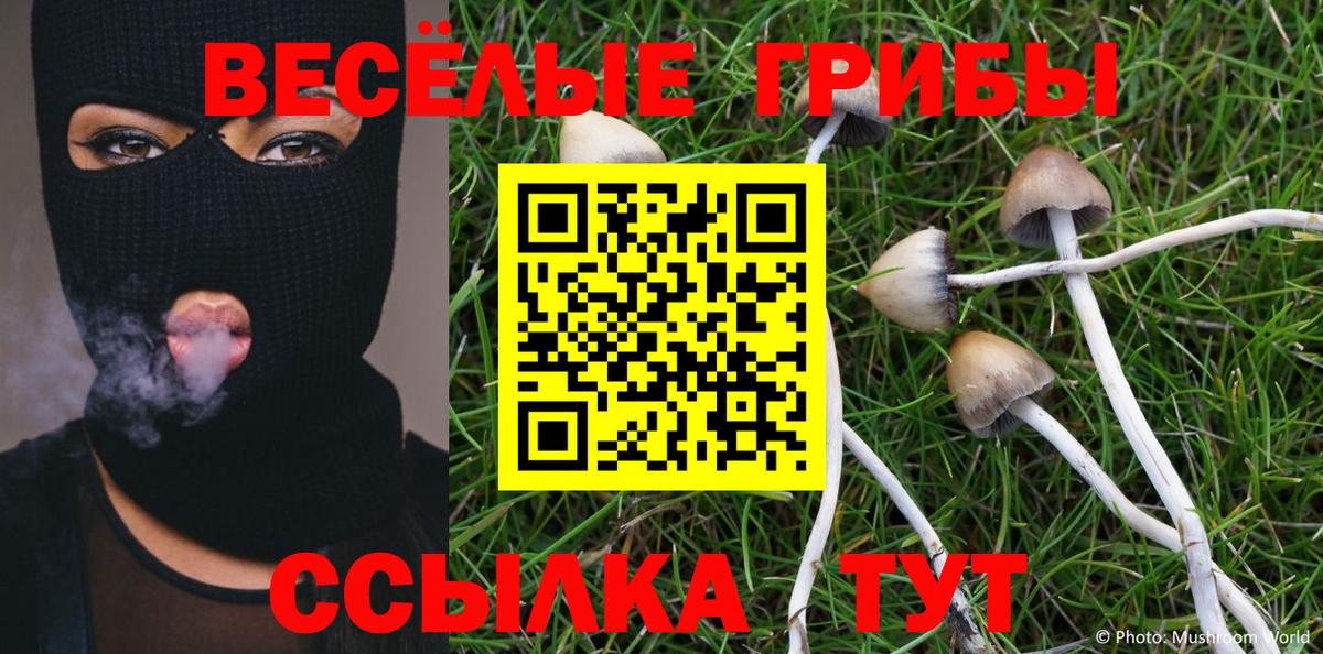 Галлюциногенные грибы Psilocybe  Вход с VPN  Ростов Великий 